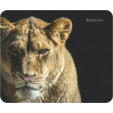 Коврик для мыши Defender Wild Animals (ассорти-8 видов) 220x180x2 мм — основная фотография