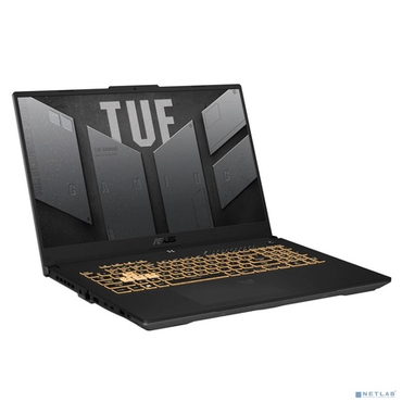 Ноутбук ASUS TUF F17 FX707ZC4-HX097W  17.3
