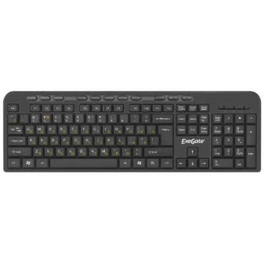 Клавиатура проводная ExeGate Multimedia Professional Standard LY-500M (EX286177RUS) проводная, USB, черный <EX286177RUS>
